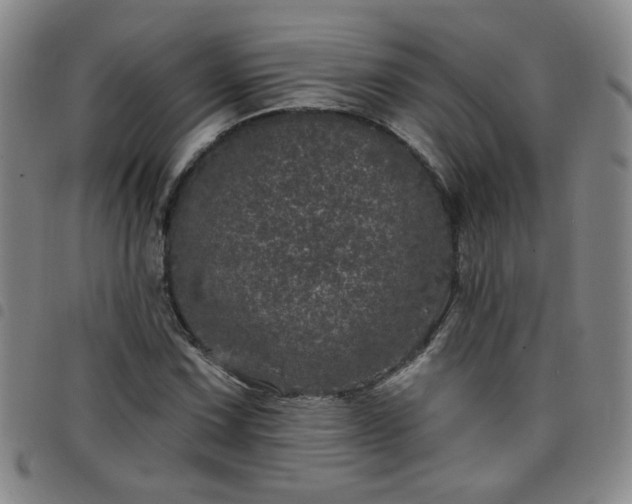 X0000098151067200804241734