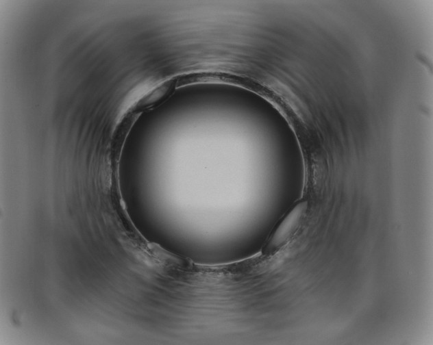 X0000098151069200804241734