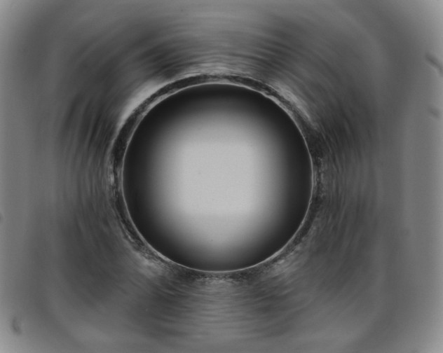 X0000098151070200804241734