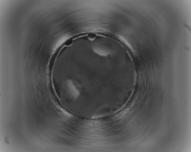 X0000098151071200804241734