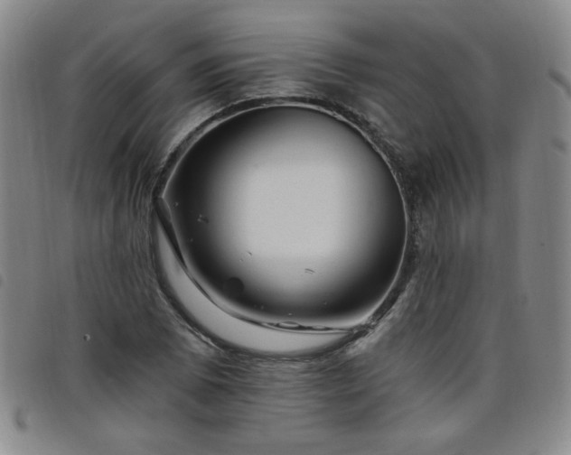 X0000098151073200804241734