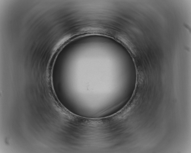 X0000098151074200804241734