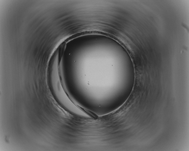 X0000098151076200804241734