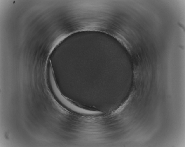 X0000098151077200804241734