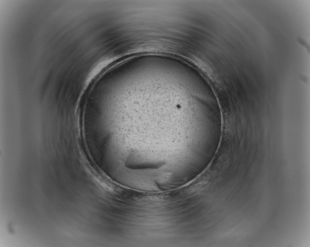 X0000098151078200804241734