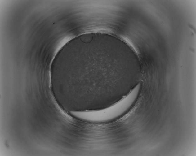 X0000098151079200804241734