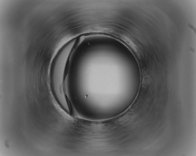 X0000098151080200804241734