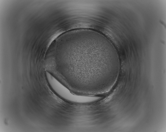 X0000098151081200804241734