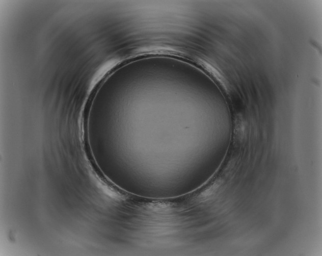 X0000098151082200804241734