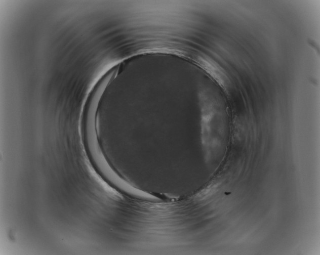 X0000098151084200804241734