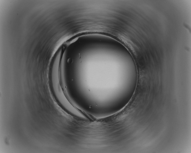 X0000098151085200804241734
