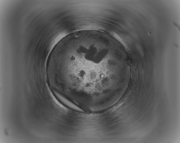 X0000098151087200804241734