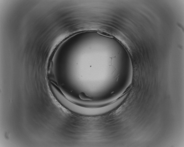 X0000098151088200804241734
