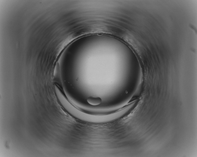 X0000098151089200804241734