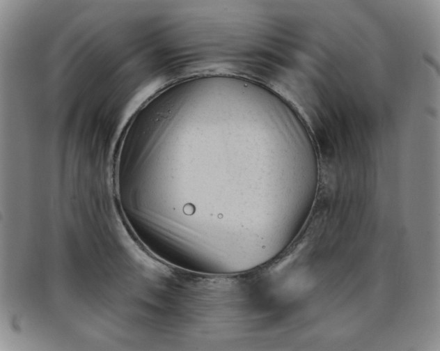X0000098151090200804241733
