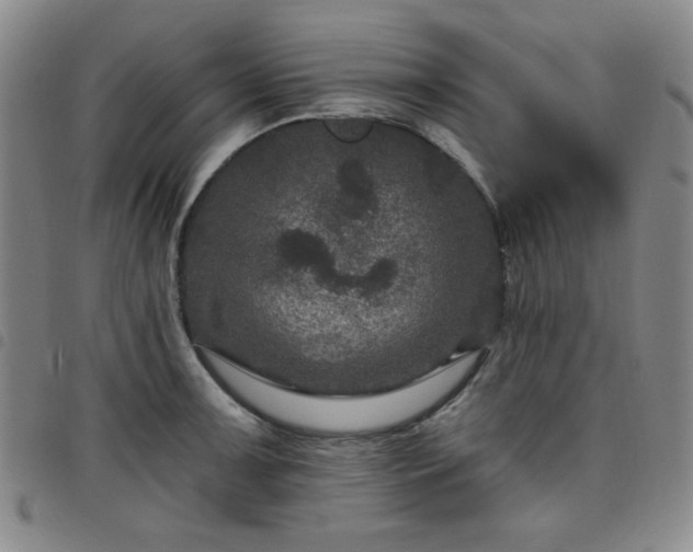 X0000098151091200804241733