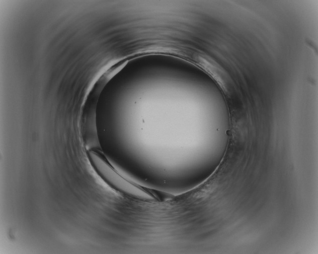X0000098151092200804241733