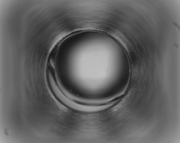 X0000098151093200804241733