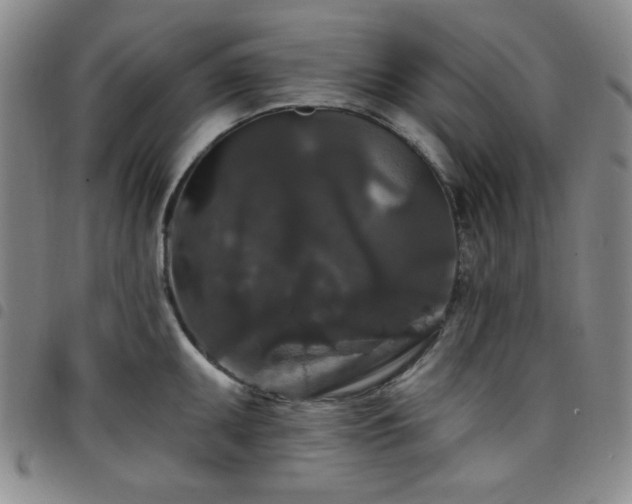X0000098151095200804241733