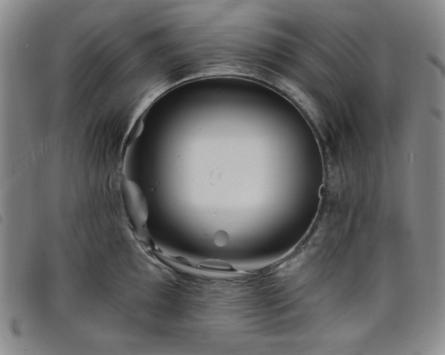 X0000098151097200804241733