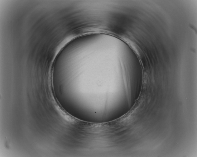 X0000098151098200804241733
