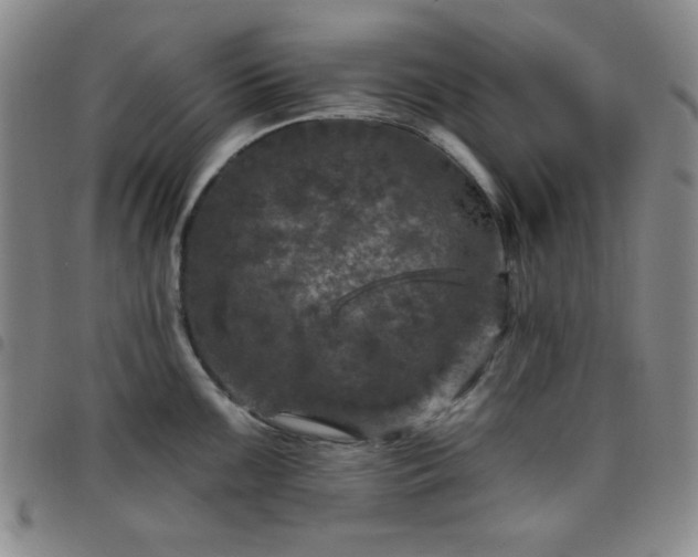 X0000098151099200804241733