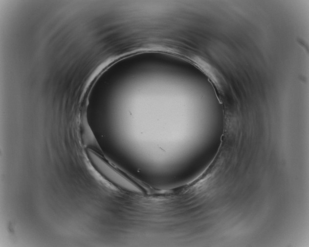 X0000098151100200804241733