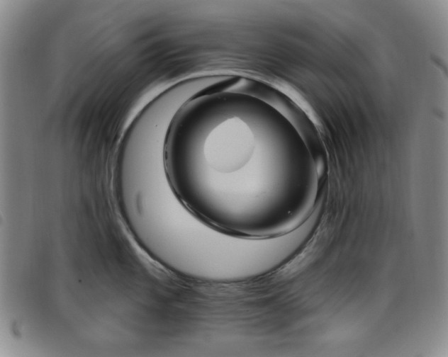 X0000098151101200804241733