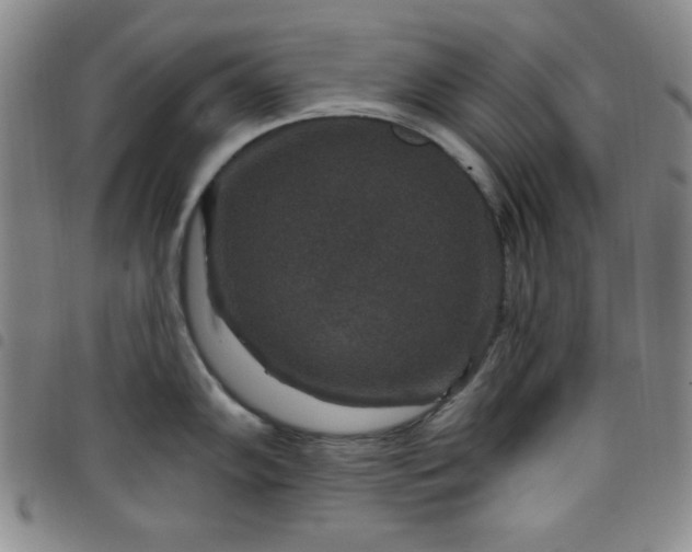 X0000098151102200804241733