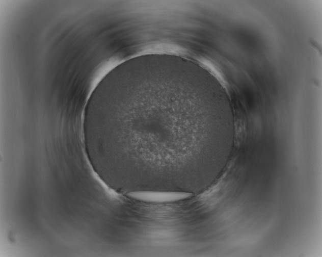 X0000098151103200804241733