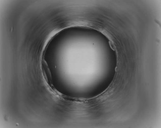 X0000098151104200804241733