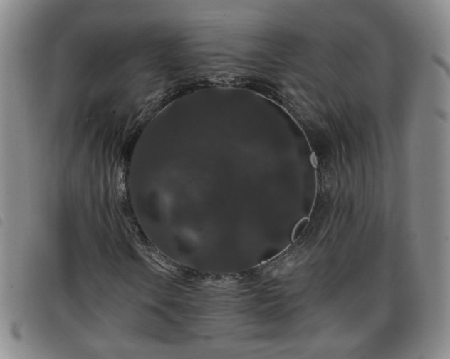 X0000098151106200804241733