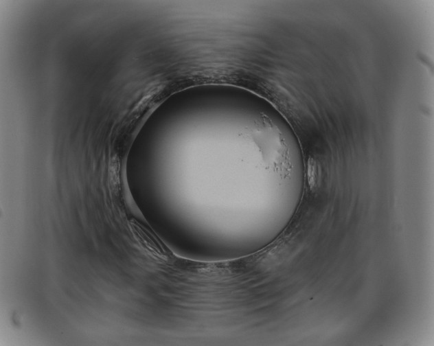 X0000098151107200804241733