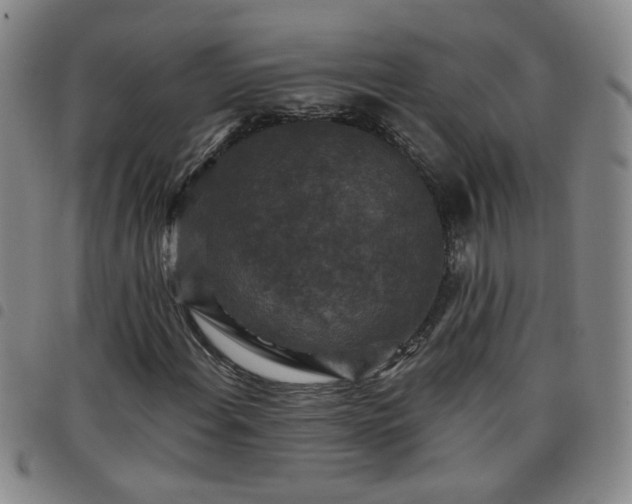 X0000098151108200804241733