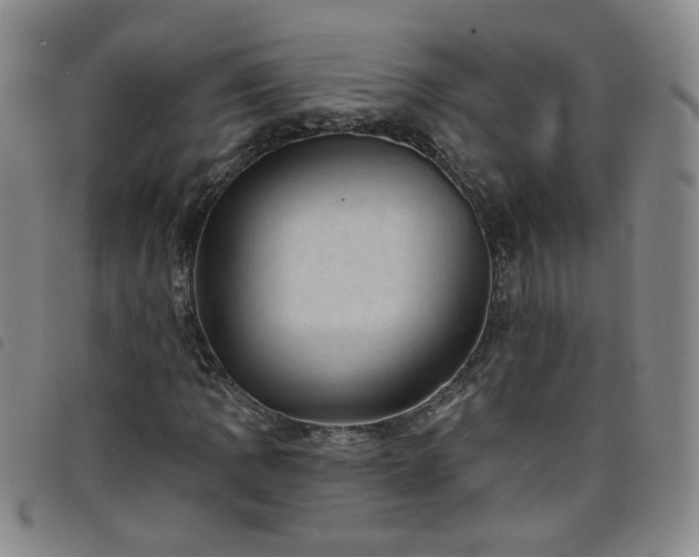 X0000098151109200804241733