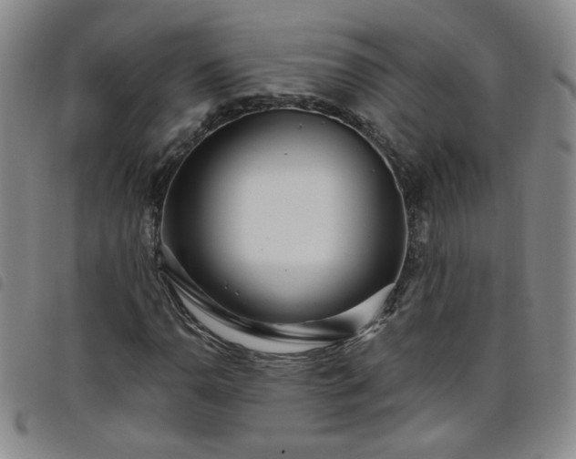X0000098151110200804241733
