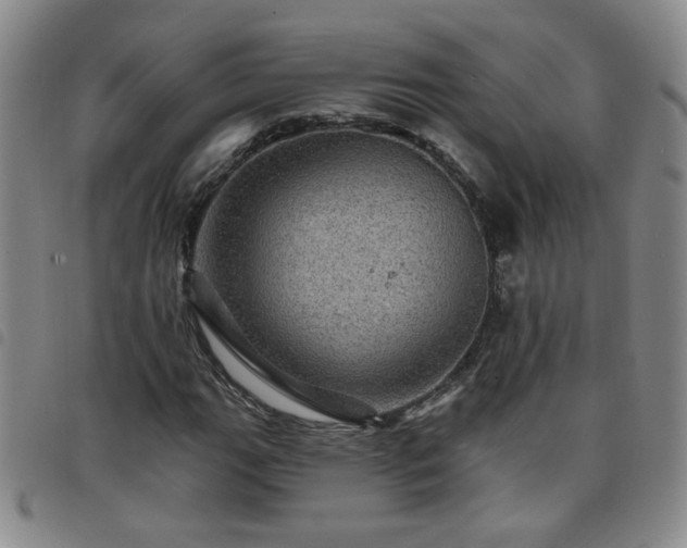 X0000098151111200804241733