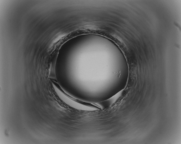 X0000098151112200804241733