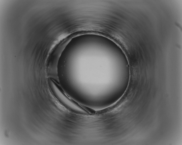 X0000098151114200804241733