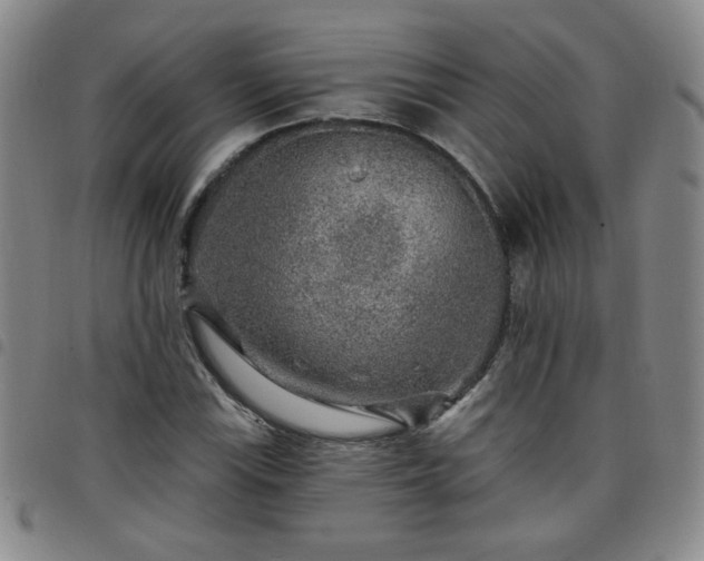 X0000098151115200804241733