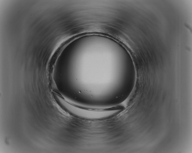 X0000098151116200804241733