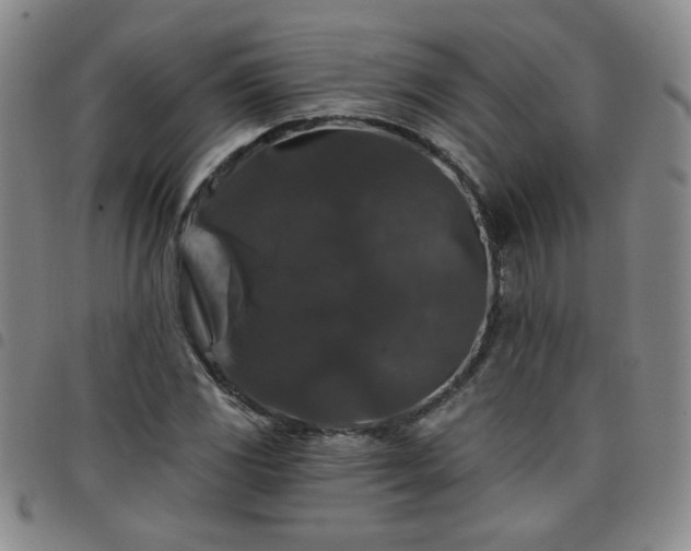 X0000098151117200804241733