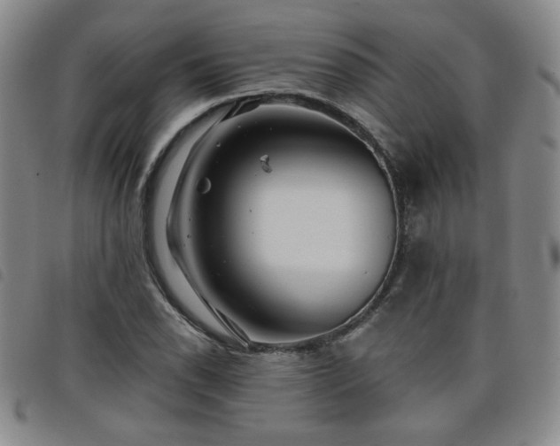 X0000098151118200804241733