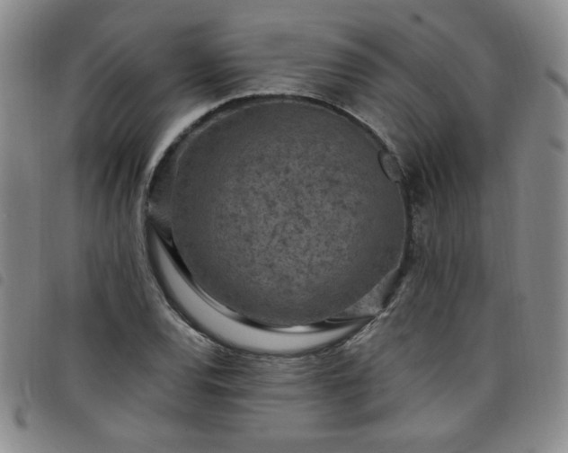 X0000098151120200804241733