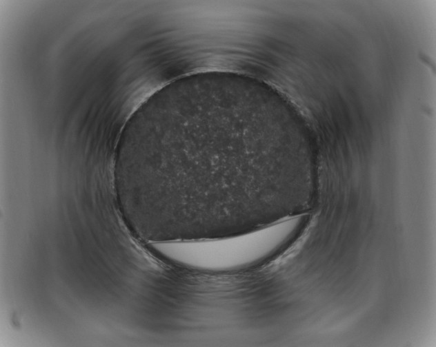 X0000098151121200804241733