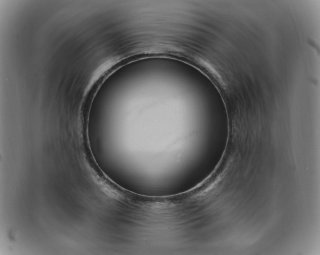 X0000098151122200804241733