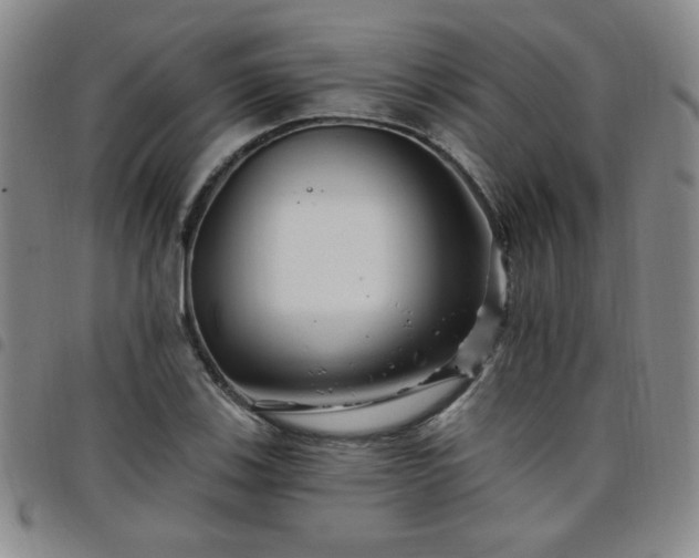 X0000098151123200804241733