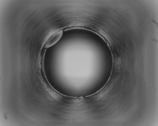 X0000098151124200804241733