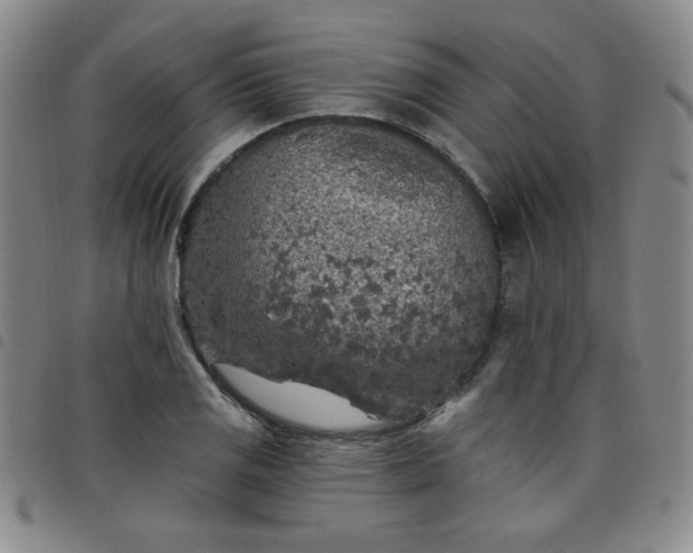 X0000098151125200804241733