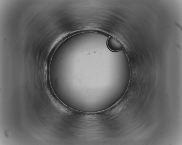 X0000098151126200804241733